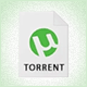 Torrentfile