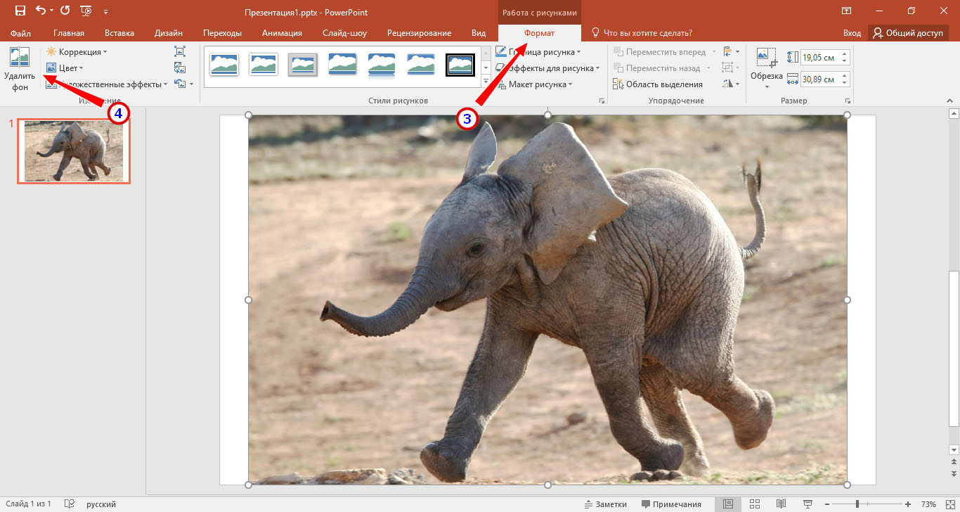 Как удалить фон на картинке в презентации