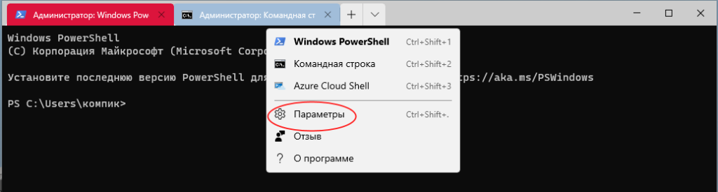 Эта операция требует интерактивного оконного терминала windows 10